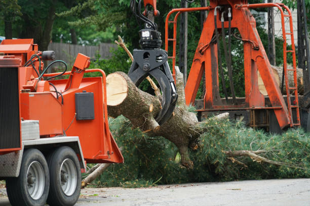 Best Utility Line Clearance  in Fussels Corner, FL